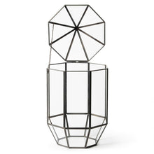 Load image into Gallery viewer, Glass Terrarium
