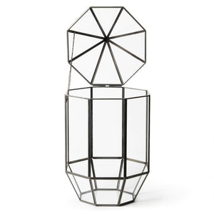 Glass Terrarium