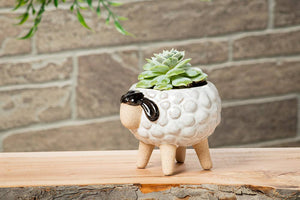 Lg Sheep on Legs Planter-3"H-869