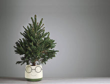 Load image into Gallery viewer, Face Planter w/Glasses

