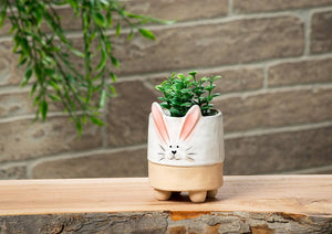 Sm Bunny w/Ears Planter-4"H