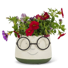 Load image into Gallery viewer, Face Planter w/Glasses
