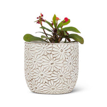 Load image into Gallery viewer, Sm Wht Daisy Round Planter-4&quot;H

