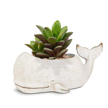 Load image into Gallery viewer, Large Whale Planter
