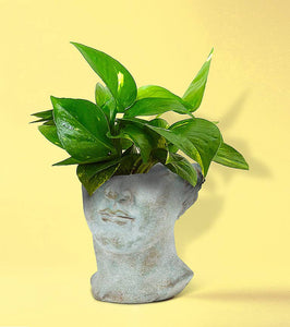 Half Male Face Planter-7"H-429
