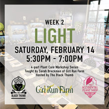 Load image into Gallery viewer, Week 2 – Light: February 14
